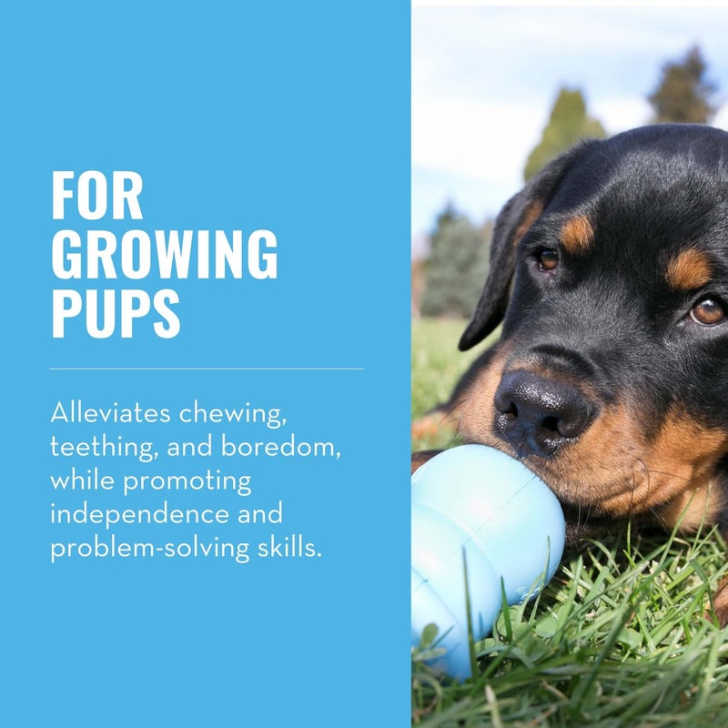 KONG Puppy Binkie - Pacifier Dog Toy for Puppies - Stuffable Treat Chew Toy for Treats - Durable Natural Rubber for Teething Puppy - for Medium Puppies - Blue - Image 2